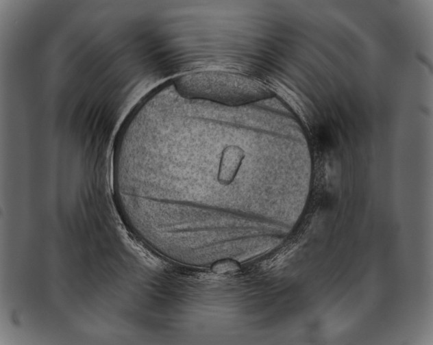 X0000094801132200712141646