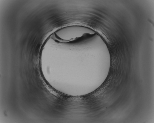 X0000094801134200712141646
