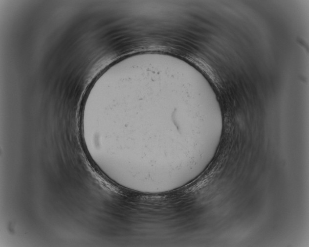 X0000094801135200712141646