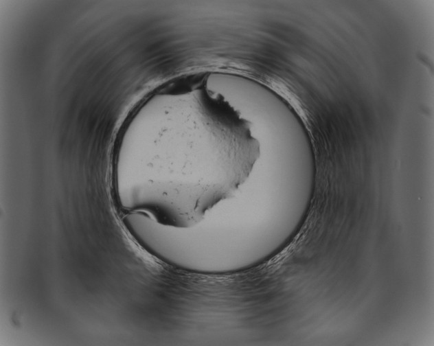 X0000094801136200712141646