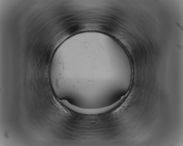 X0000094801137200712141646