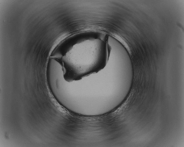 X0000094801138200712141646
