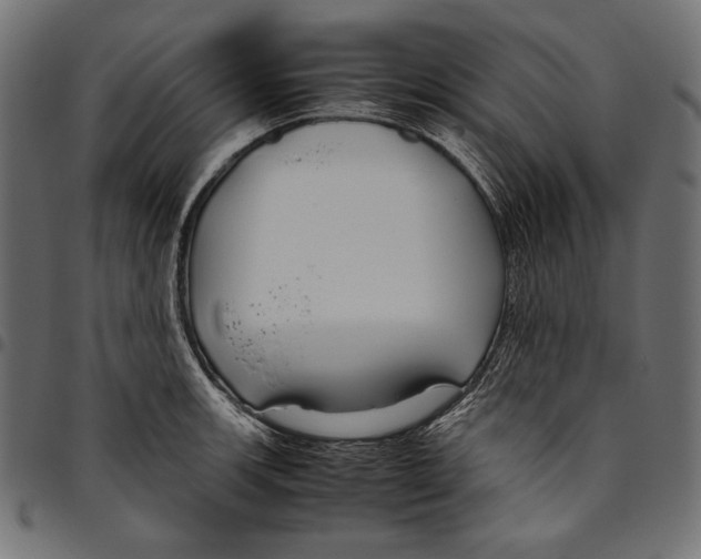 X0000094801139200712141646