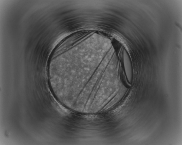 X0000094801141200712141646