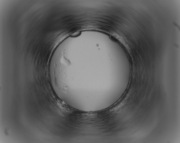 X0000094801145200712141646