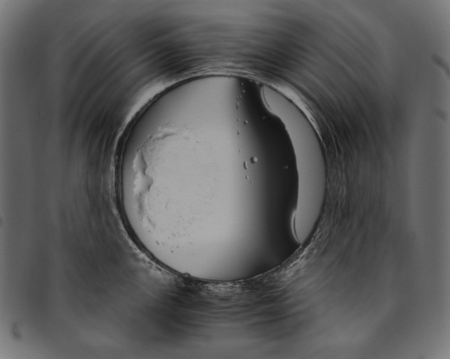 X0000094801147200712141647