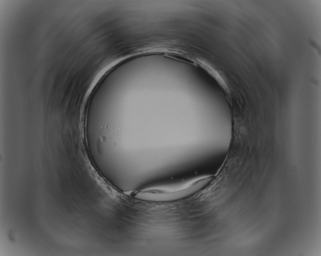 X0000094801148200712141647