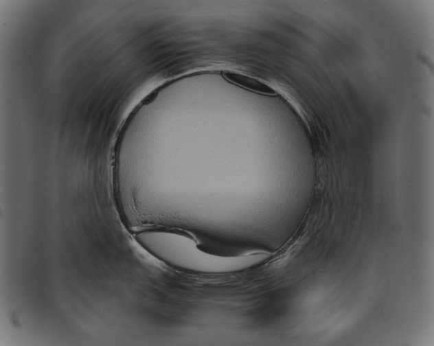 X0000094801151200712141647