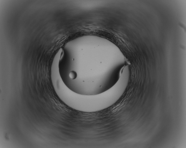 X0000094801156200712141646