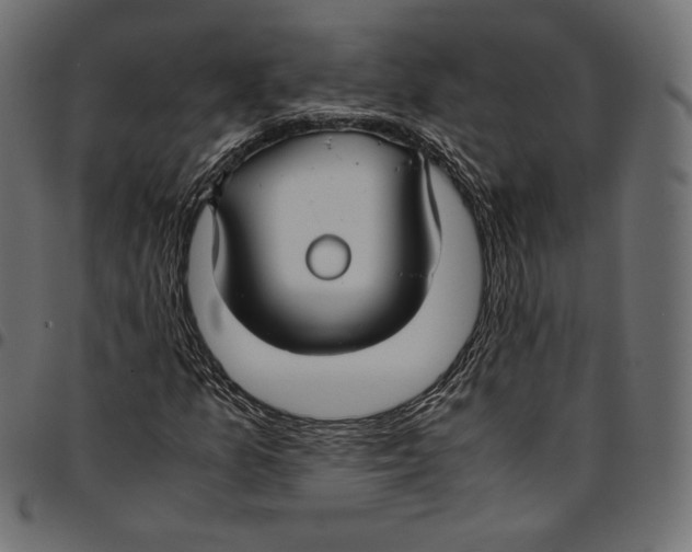 X0000094801157200712141646