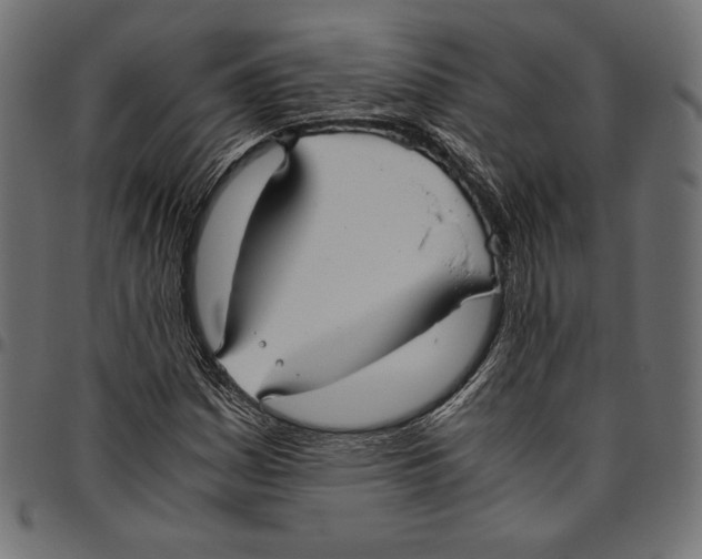X0000094801161200712141646