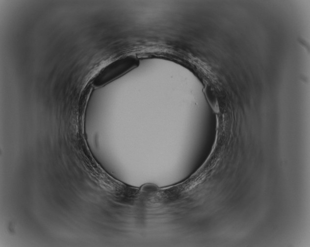 X0000094801165200712141646