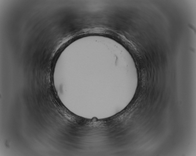 X0000094801166200712141646