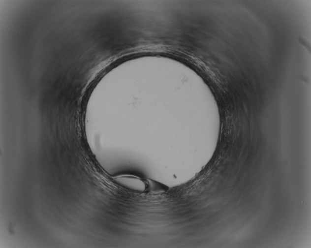 X0000094801168200712141646