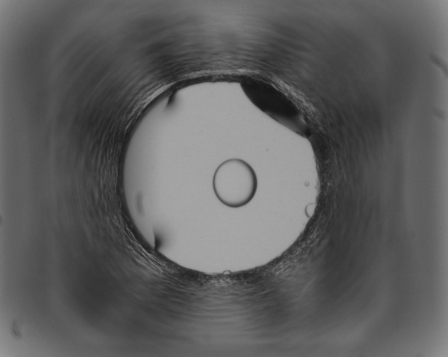 X0000094801169200712141646