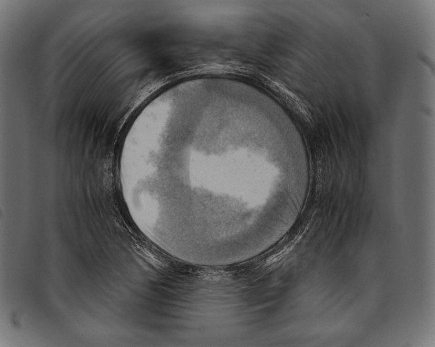 X0000094801170200712141646