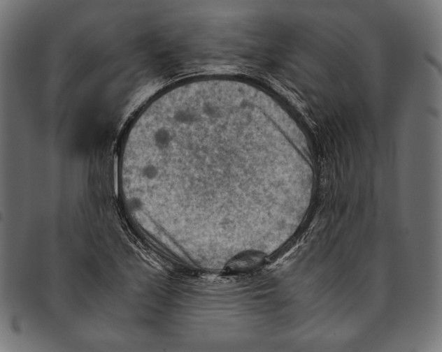 X0000094801171200712141646