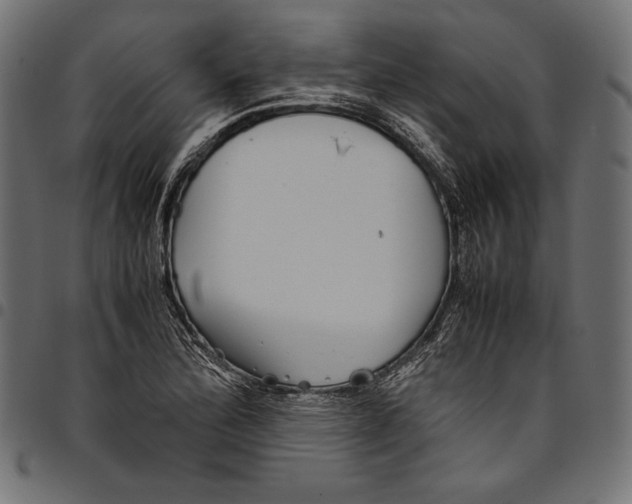 X0000094801172200712141646