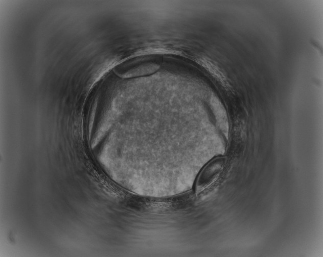 X0000094801173200712141646