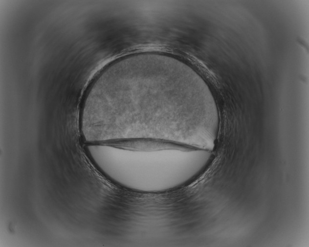X0000094801174200712141646