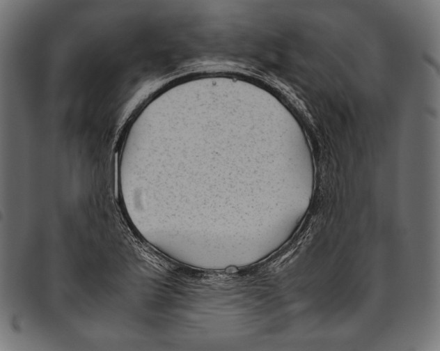 X0000094801175200712141646