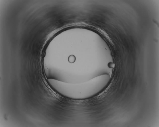 X0000094801176200712141646