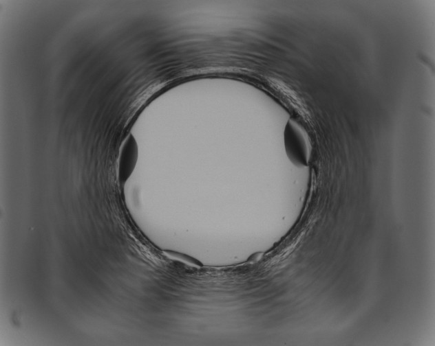X0000094801177200712141646