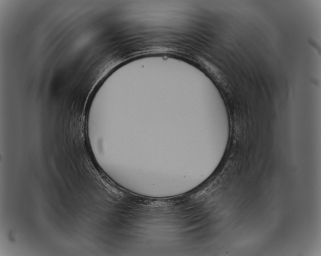 X0000094801178200712141646