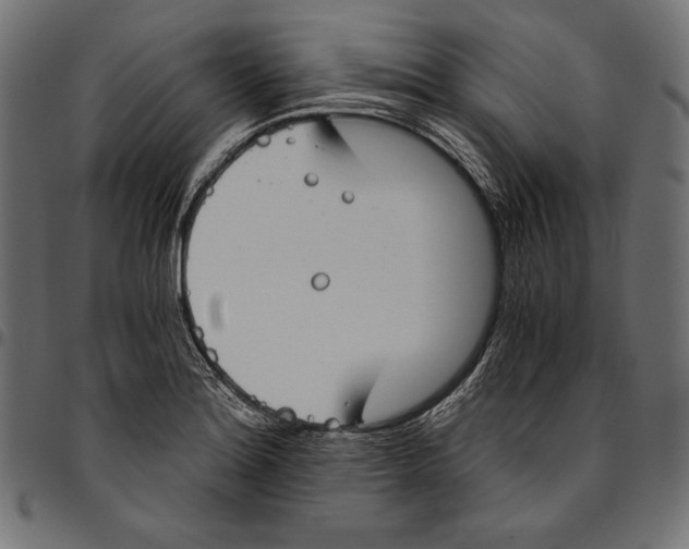 X0000094801180200712141646