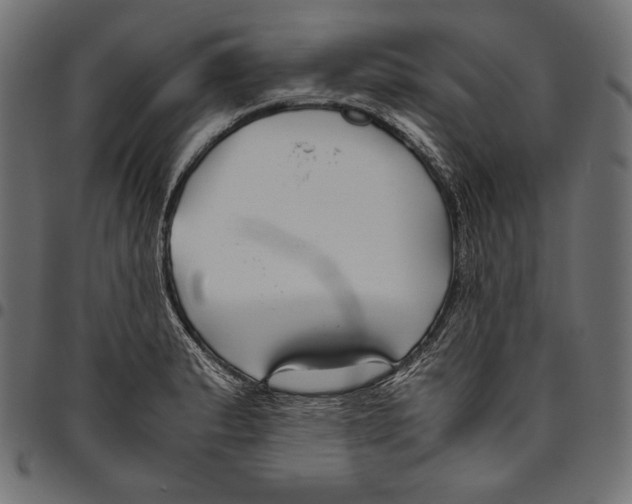 X0000094801183200712141646