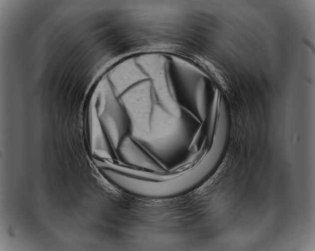 X0000094801184200712141646