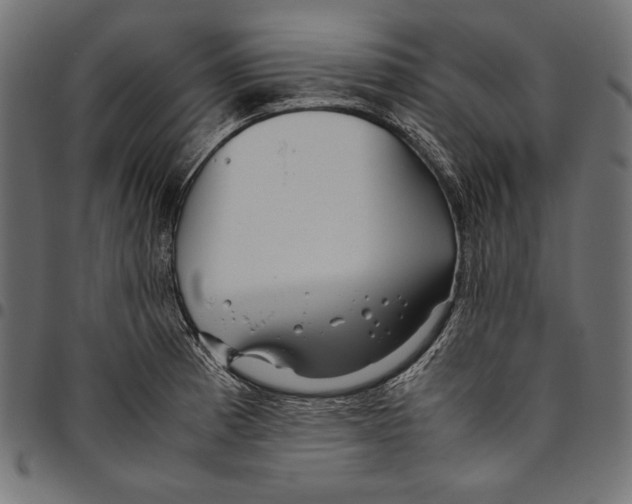 X0000094801185200712141645