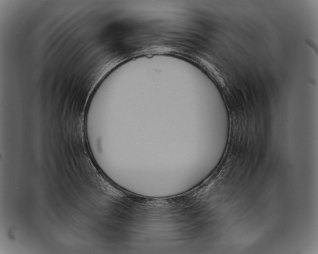 X0000094801186200712141645