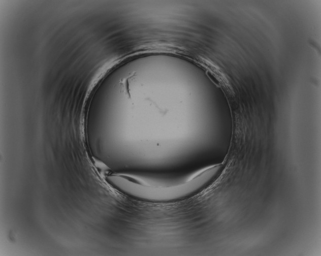 X0000094801188200712141645