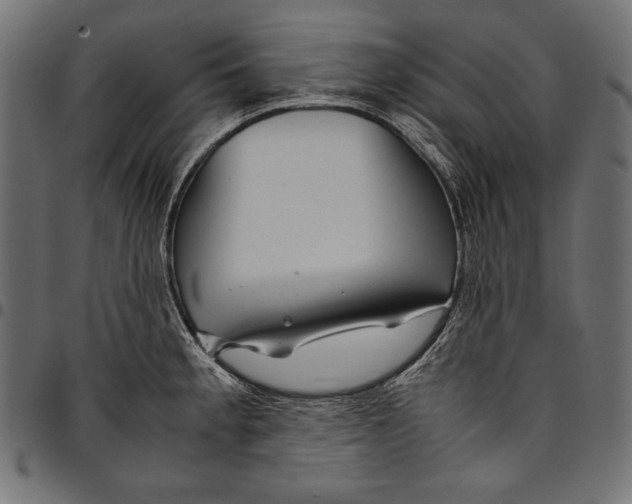 X0000094801189200712141645