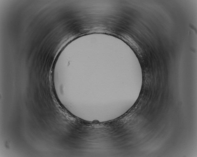 X0000094801190200712141645