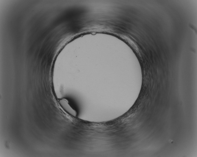 X0000094801191200712141645