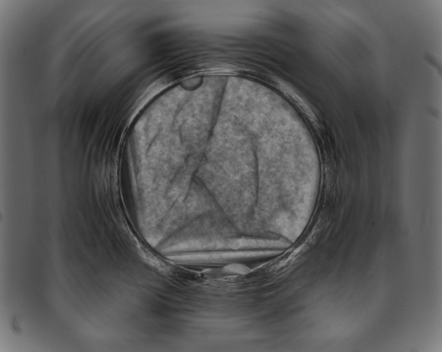 X0000094801194200712141645