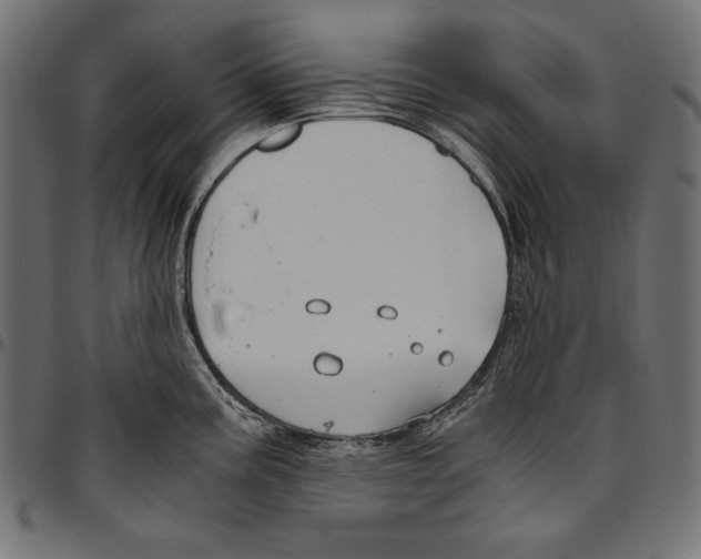 X0000094801195200712141645