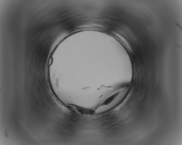 X0000094801196200712141645