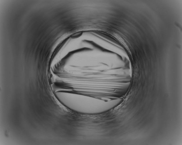 X0000094801197200712141645