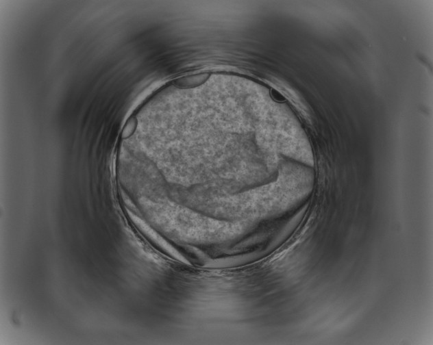 X0000094801198200712141645