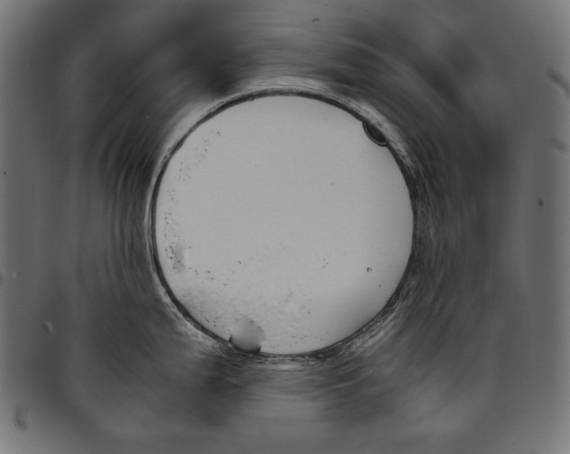 X0000094801199200712141645