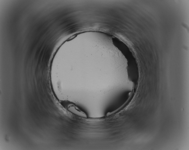 X0000094801200200712141645