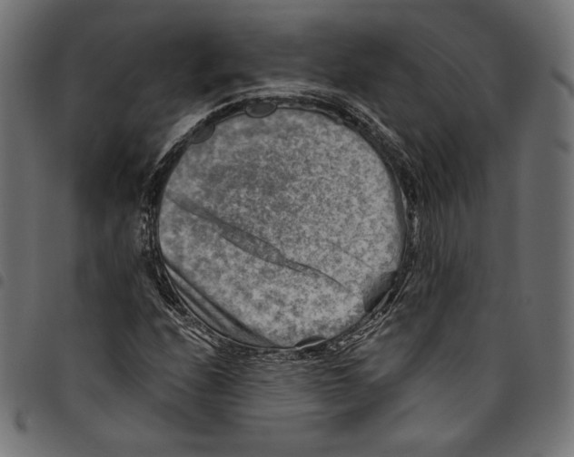 X0000094801208200712141645