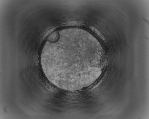 X0000094801213200712141645