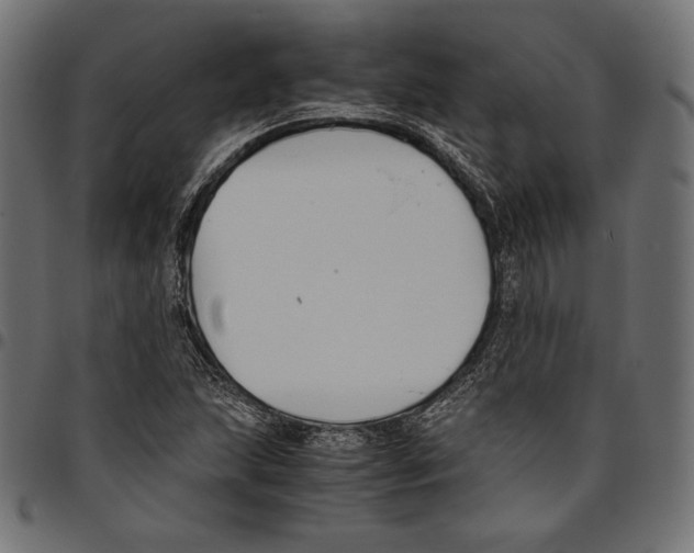 X0000094801215200712141645