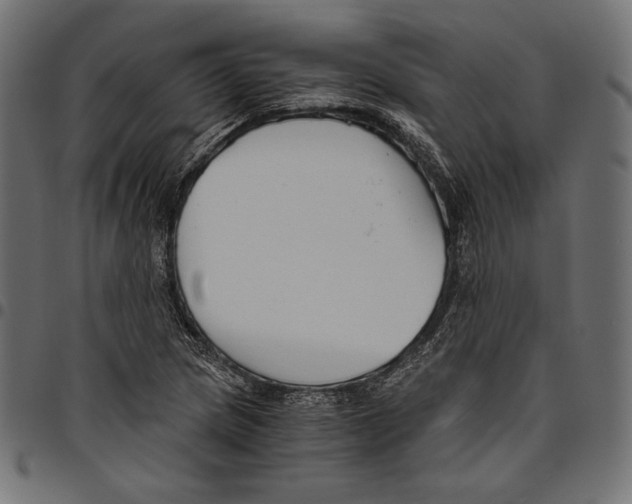 X0000094801217200712141645