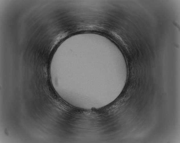 X0000094801218200712141645