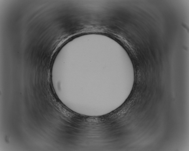 X0000094801220200712141645